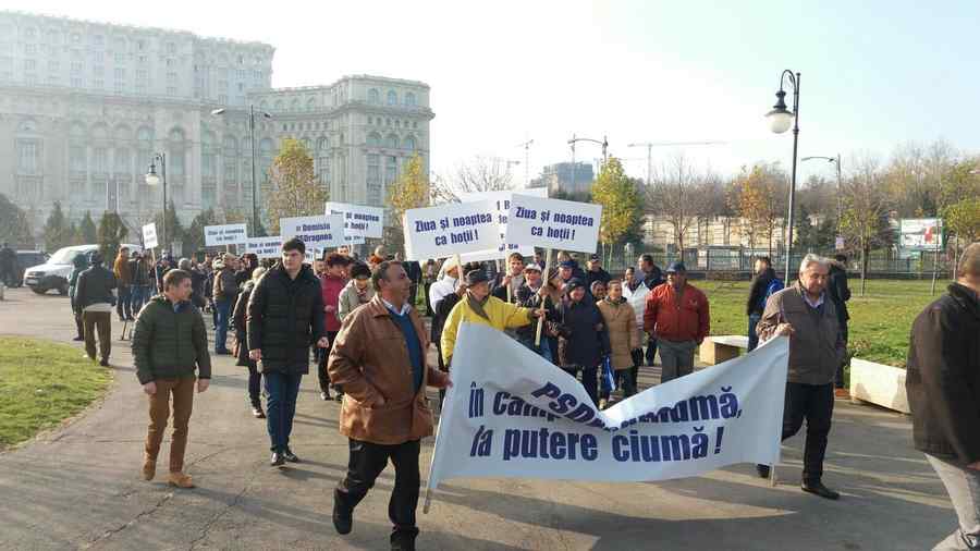 Liberalii s-au strâns în Parcul Izvor