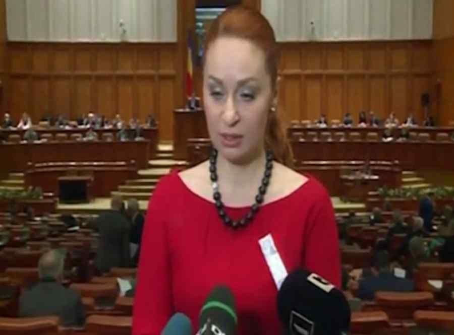 Protest în Parlament: Liberalii au venit cu bonuri fiscale prinse în piept