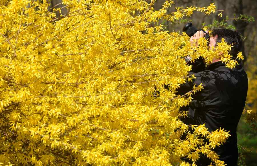 Românul s-a născut fotograf