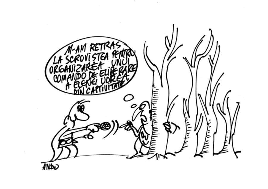 Traian căpitan de plai