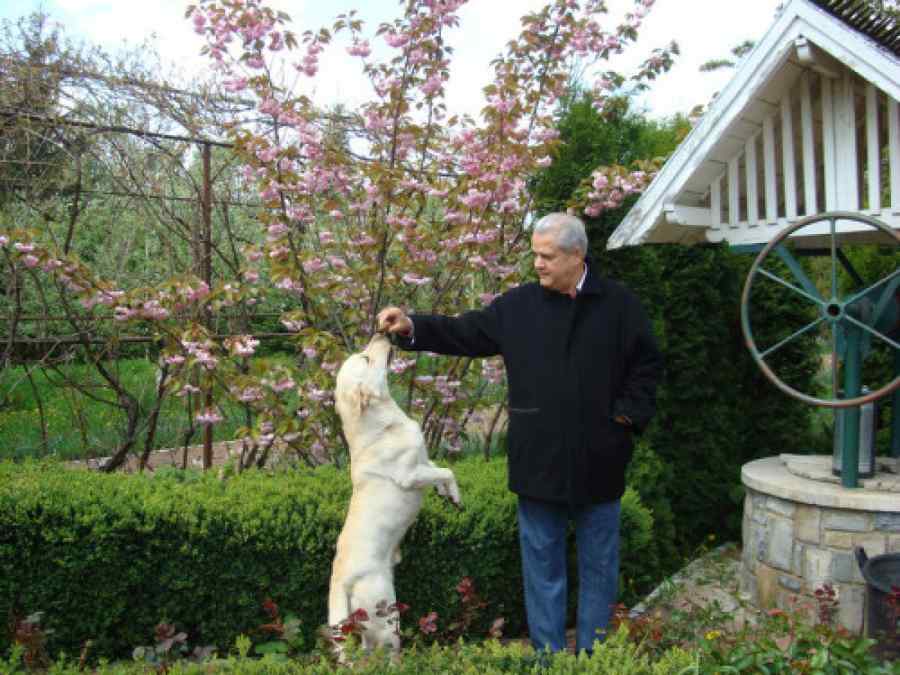 Adrian Năstase și-a vopsit ouăle, dar nu oricum