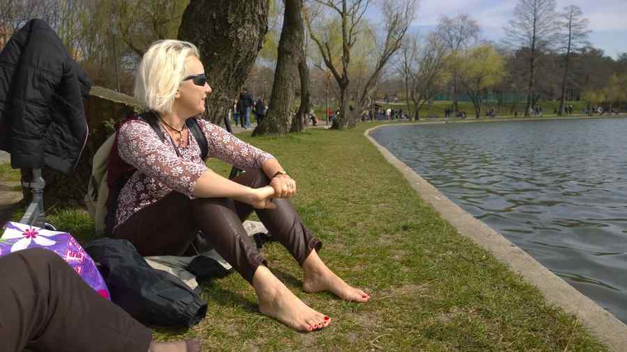 Prognoza pentru următoarele trei luni