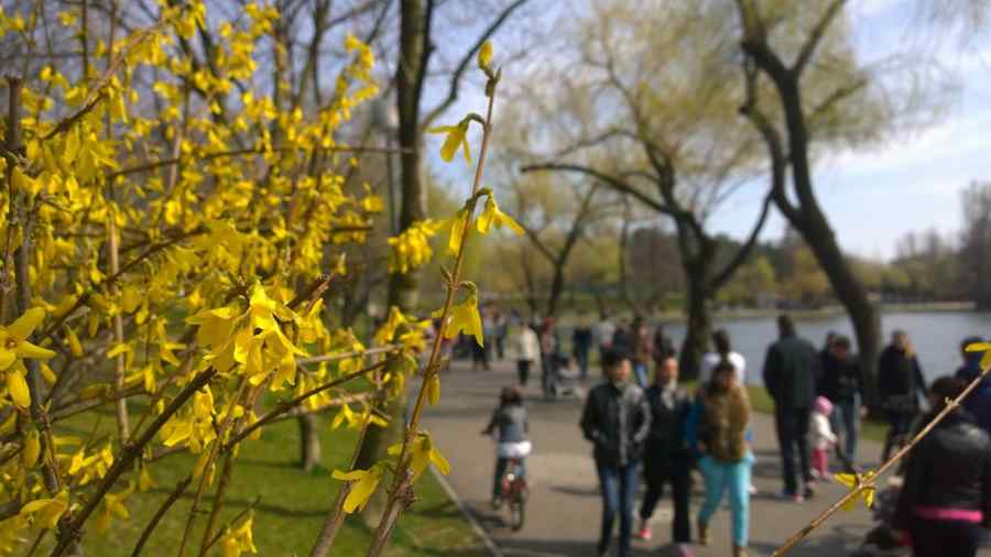 Ce populație are România după domiciliu