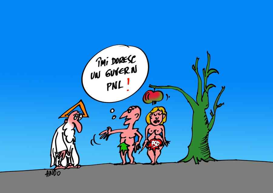 Dorinţe în paradis