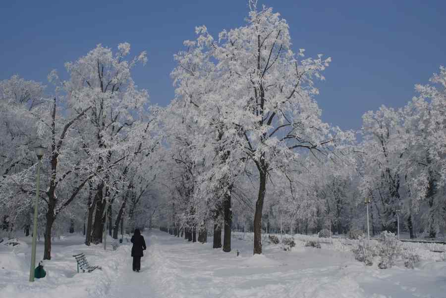 Republica Slovenia – Condiţii meteorologice nefavorabile