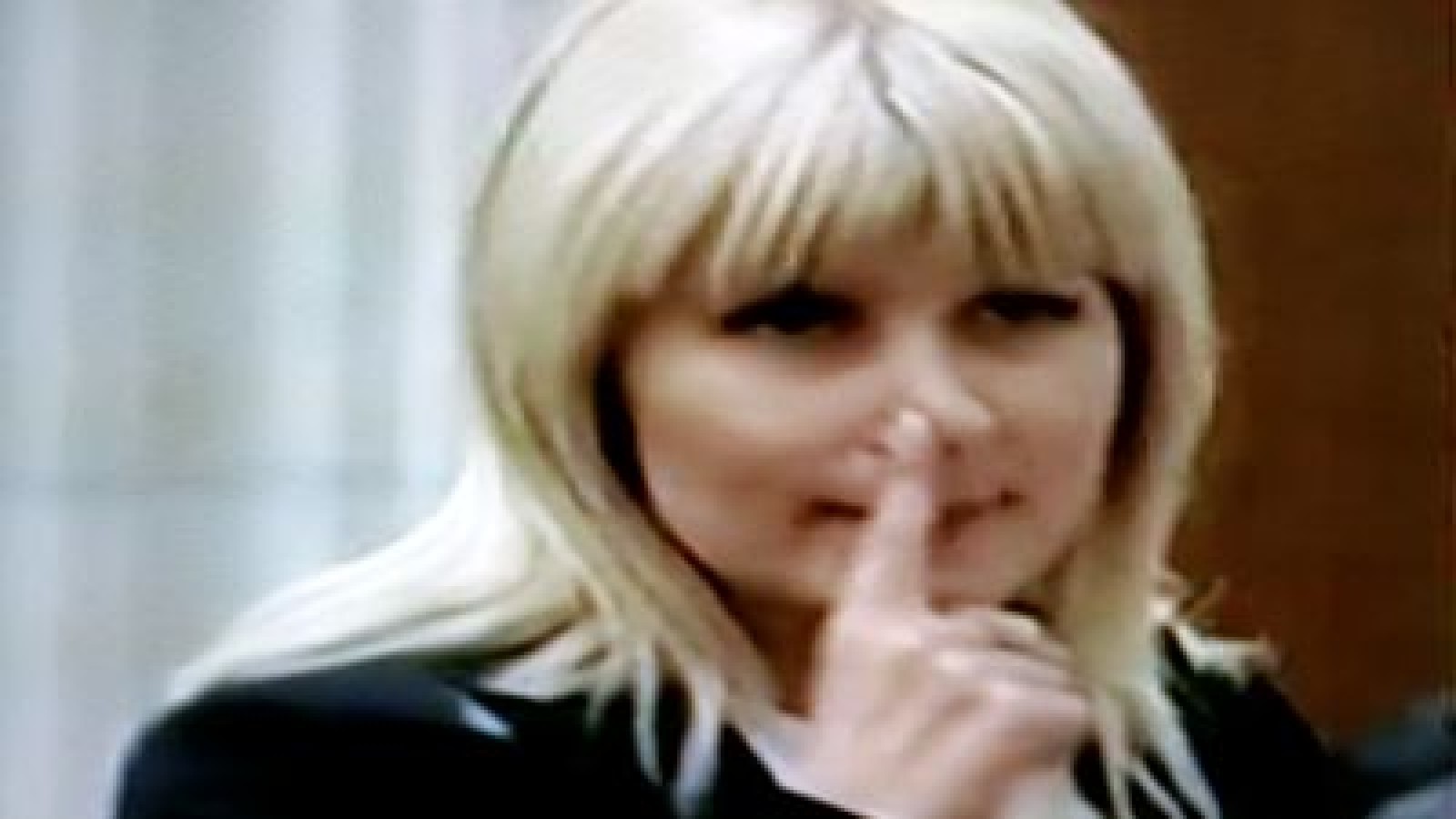 Udrea cere voie să meargă în Parlament