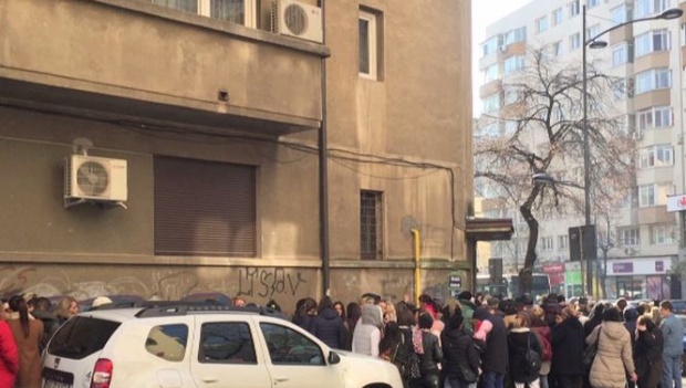 Circ de nedescris la casa Oanei Zăvoranu