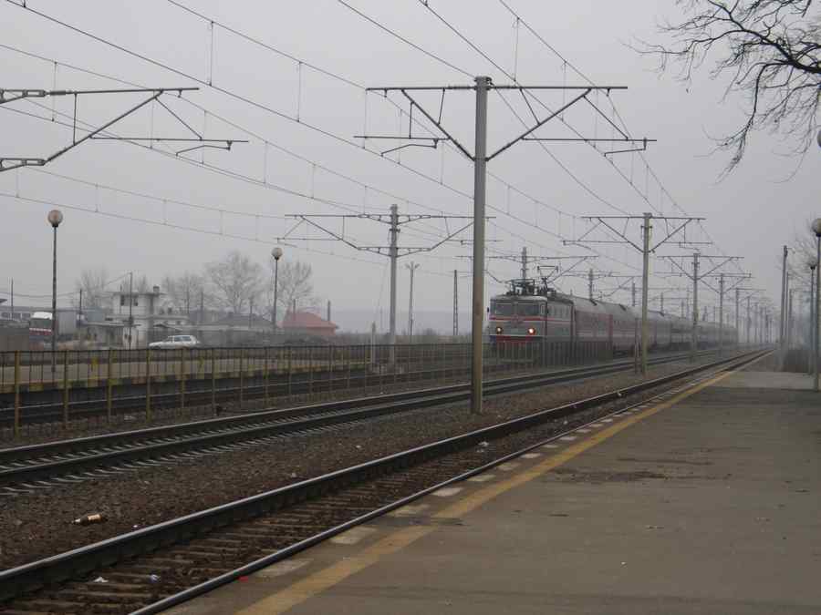 Tren de persoane, deraiat de o cireadă de vaci