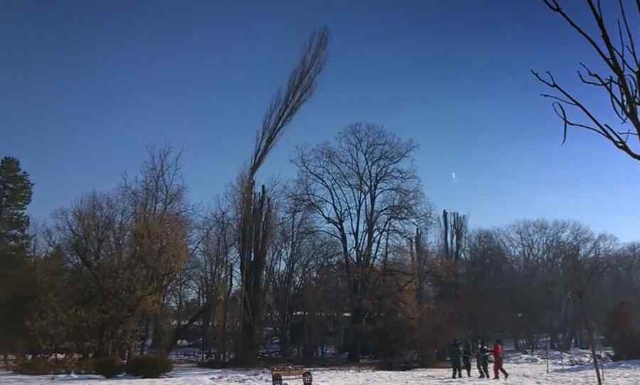 Dorel lovește și în parcul Cișmigiu