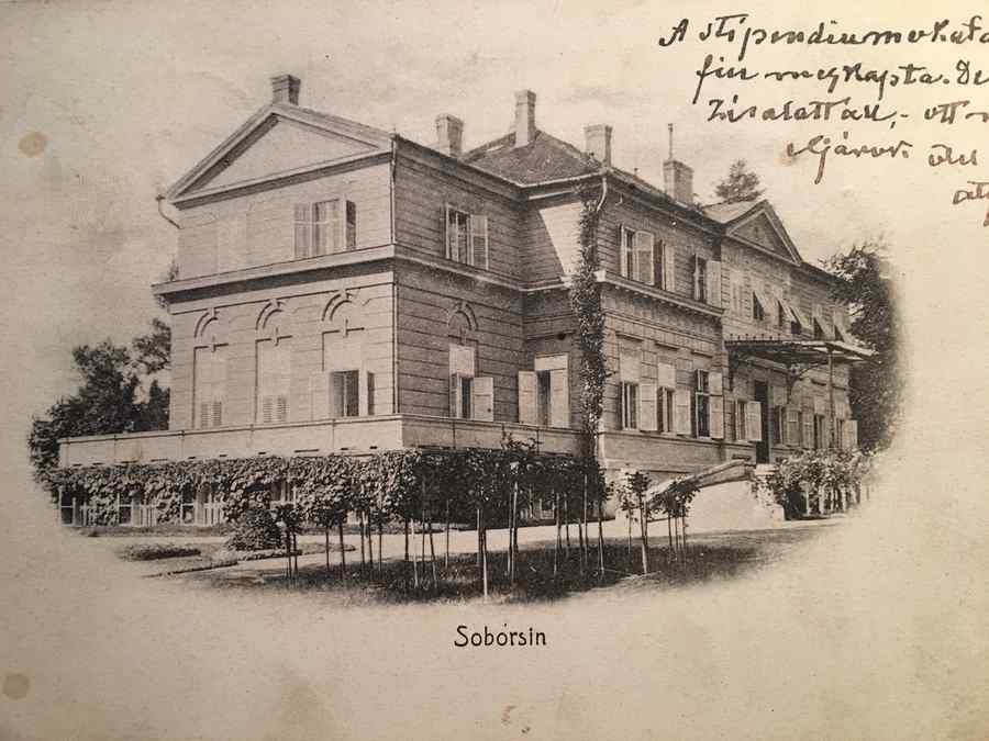 Castelul regal de la Săvârșin