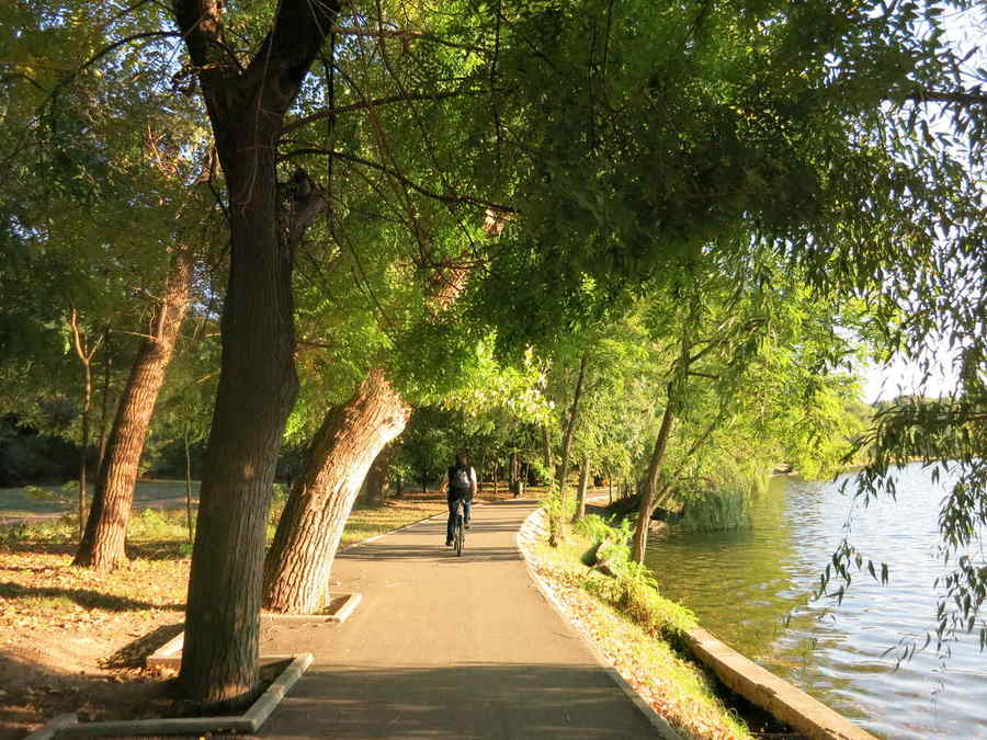 Otravă pe aleile din Herăstrău și Cișmigiu