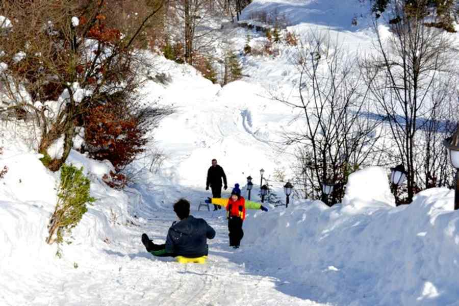 Optsprezece județe, sub atenționare cod galben de vânt și ninsori