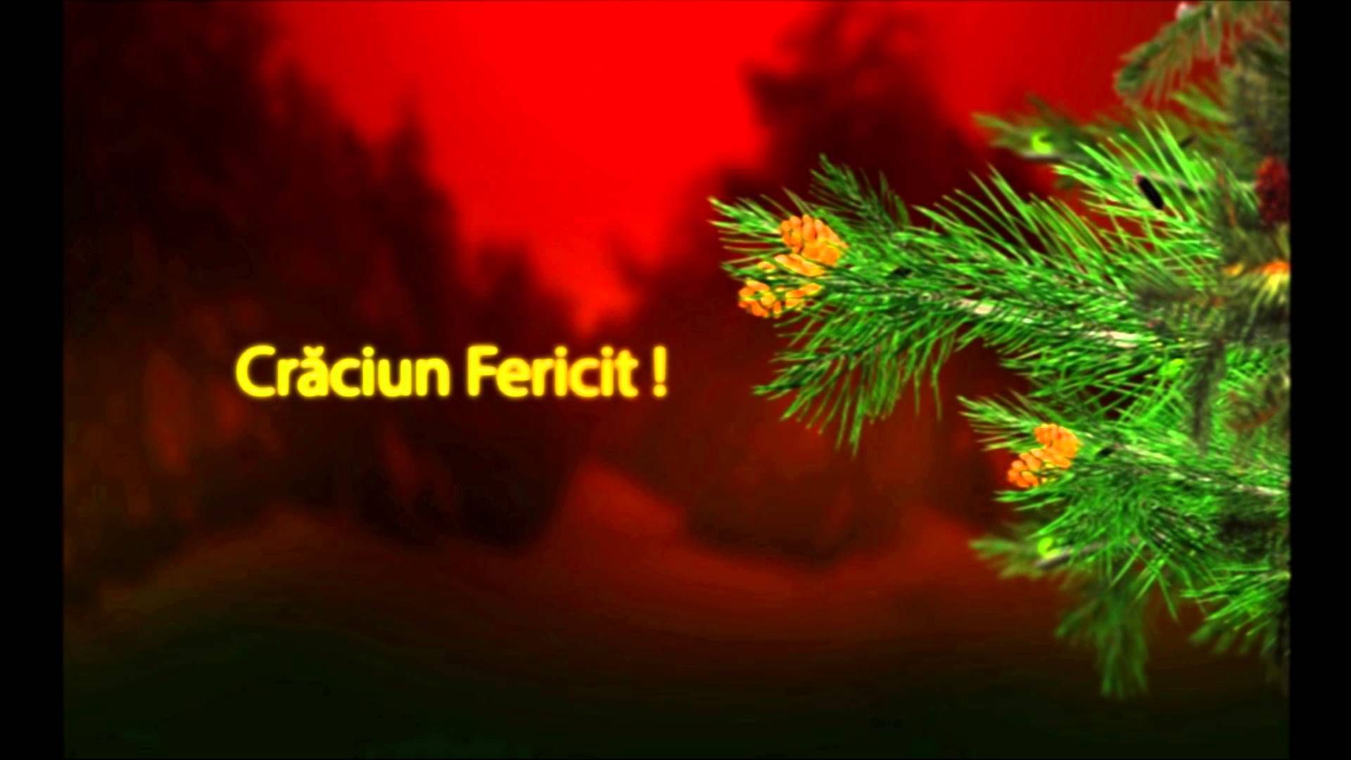 Crăciun fericit!