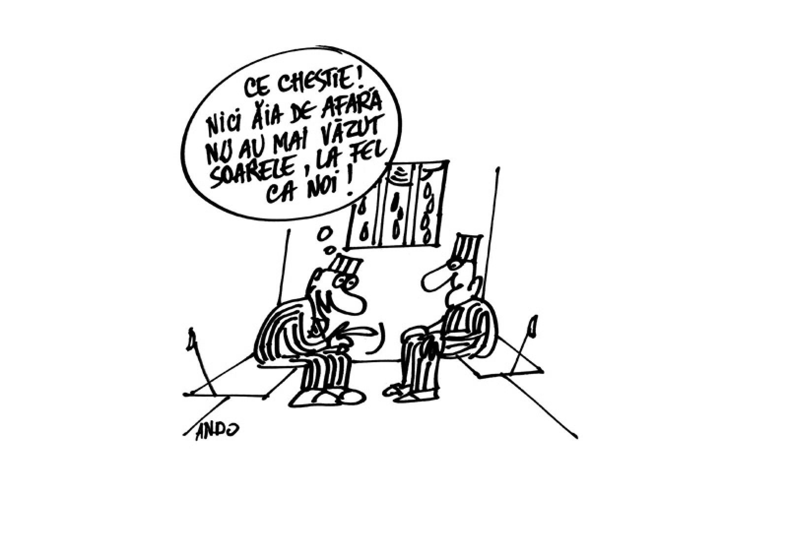 Meteo justiţie