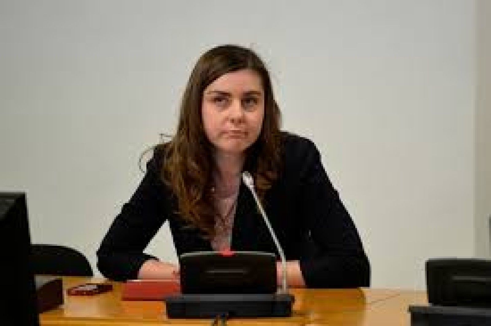 Ioana Petrescu revine în poziţia de consilier al premierului