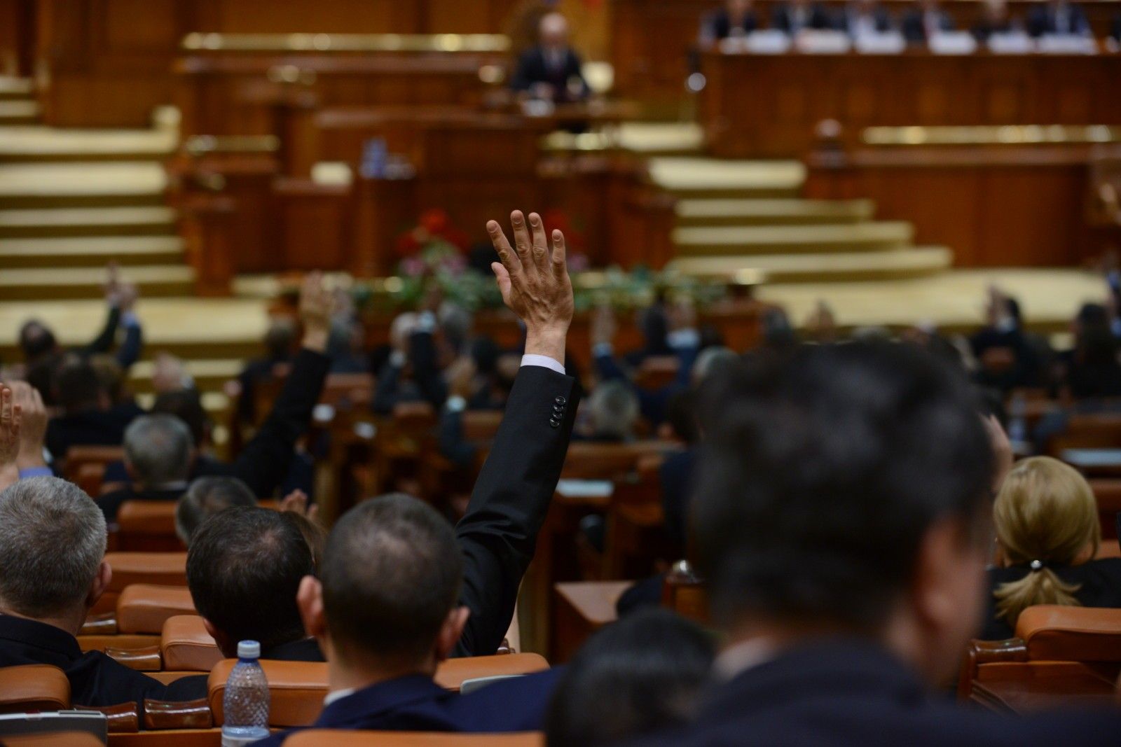 Camera Deputaţilor respinge ordonanţa privind traseismul