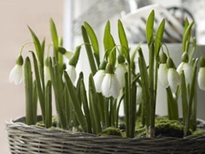 Muzeul Ţăranului Român organizează Târgul Mărţişorului