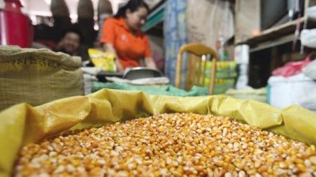 Vine criza alimentară? România a exportat 40% din grâu şi 17% din porumb