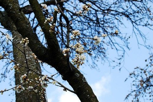 În acest weekend, temperaturile ajung la 20 de grade C