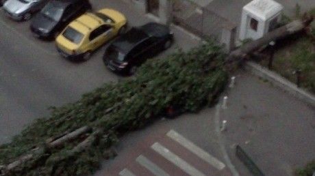 Furtuna a făcut ravagii: Acoperişul scenei din Herăstrău a căzut