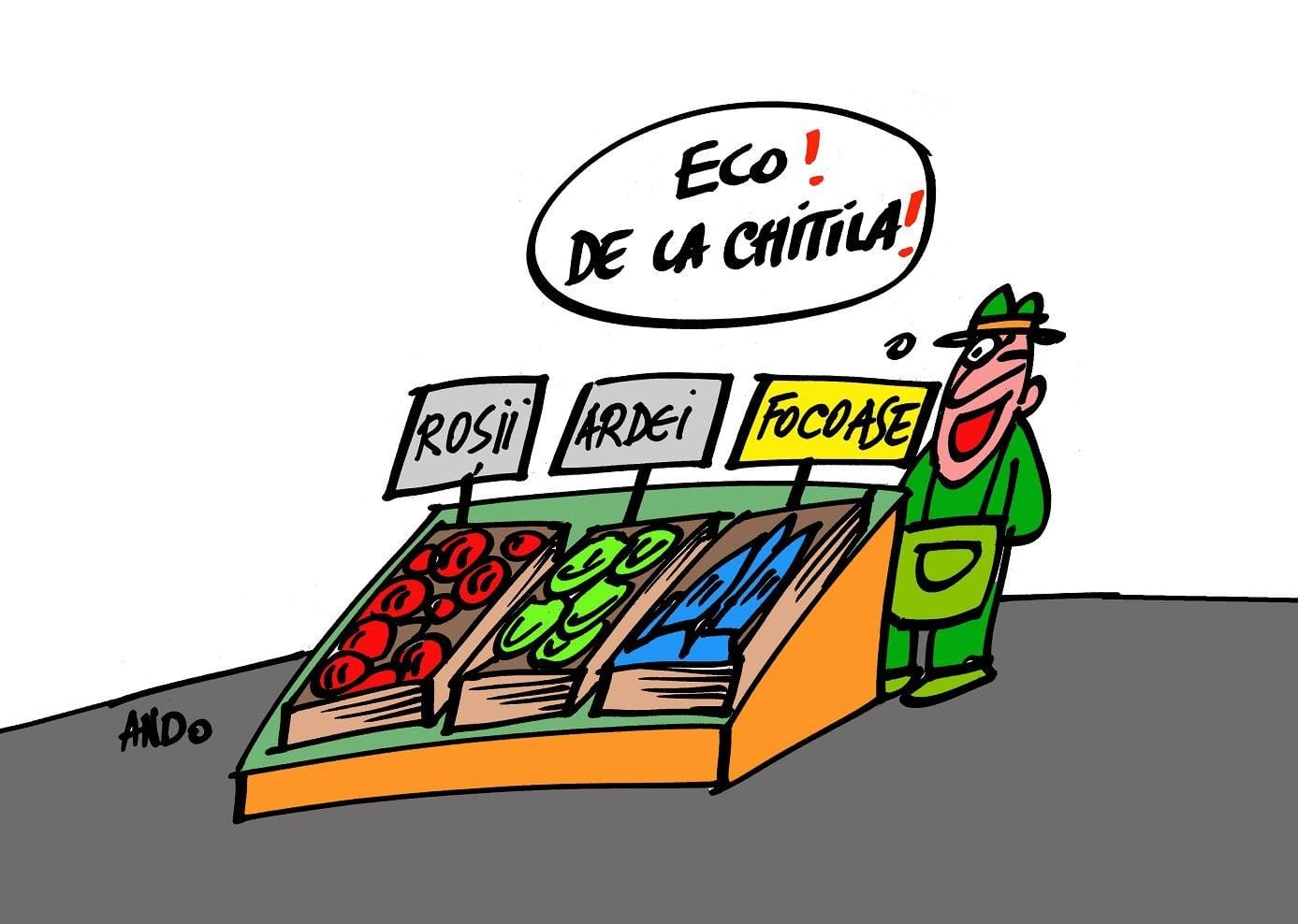 Micii producatori