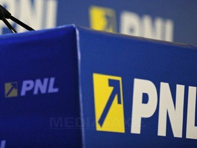 PNL: Demiterea lui Lăzăroiu de la Ministerul Muncii nu este suficientă