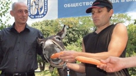Un măgar candidează la Primărie, în Bulgaria