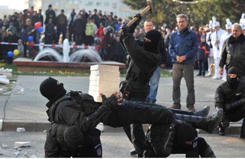 Kitch cat incape la manifestarile dedicate zilei nationale la Primaria Sectorul 2