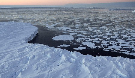 O pajişte de corali, descoperită sub gheaţa din Oceanul Arctic