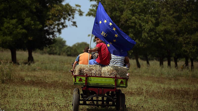 Lista celor 11 firme românești acuzate de fraudă cu bani europeni
