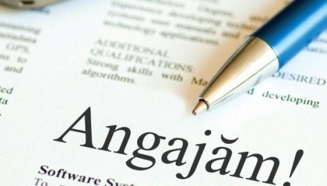 Angajări la stat: 300 de locuri libere