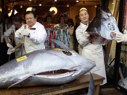 Ton radioactiv de la Fukushima, descoperit în largul coastelor Californiei