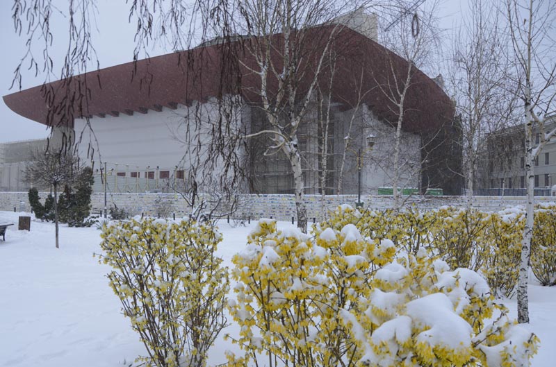 Vestitorii primăverii, îngropaţi în zăpadă