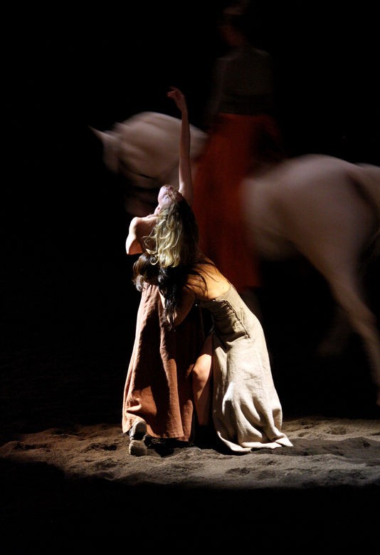 „We were horses”, spectacol aniversar al Academiei Ecvestre de la Versailles