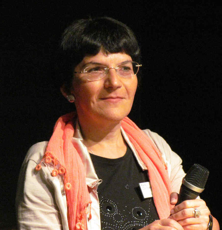 Ioana Pârvulescu, laureată a Premiului Uniunii Europene pentru Literatură