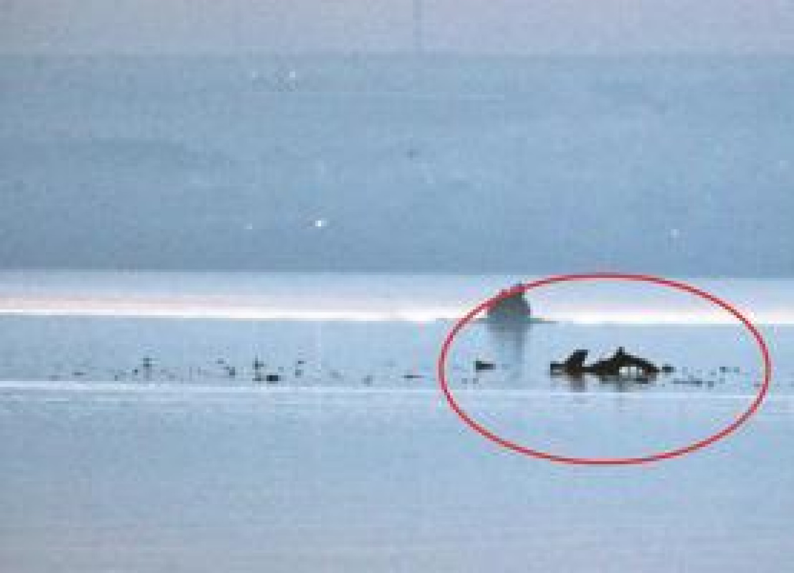 ROMATSA, precizări despre elicopterul SMURD prăbușit