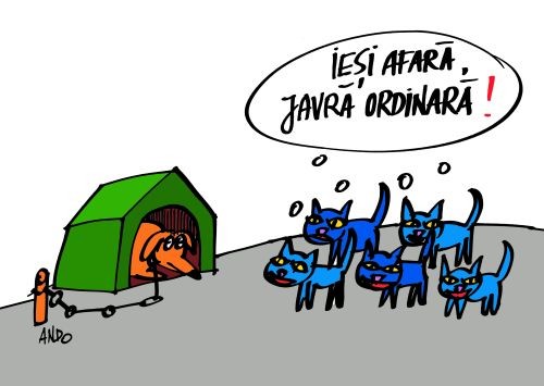 Miting de protest