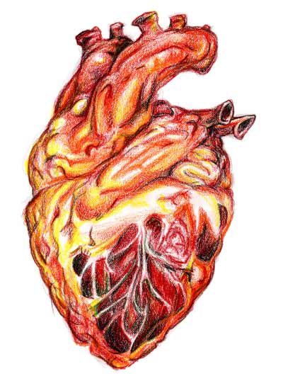 Locul trei în lume la mortalitatea cauzată de boli cardiovasculare