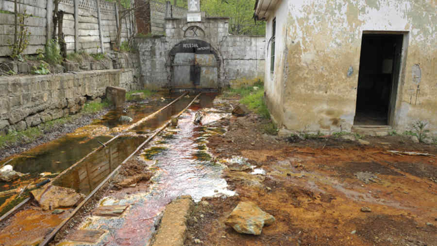 „Cei care umblă să distrugă Munții Apuseni vor cunoaște nefericirea”