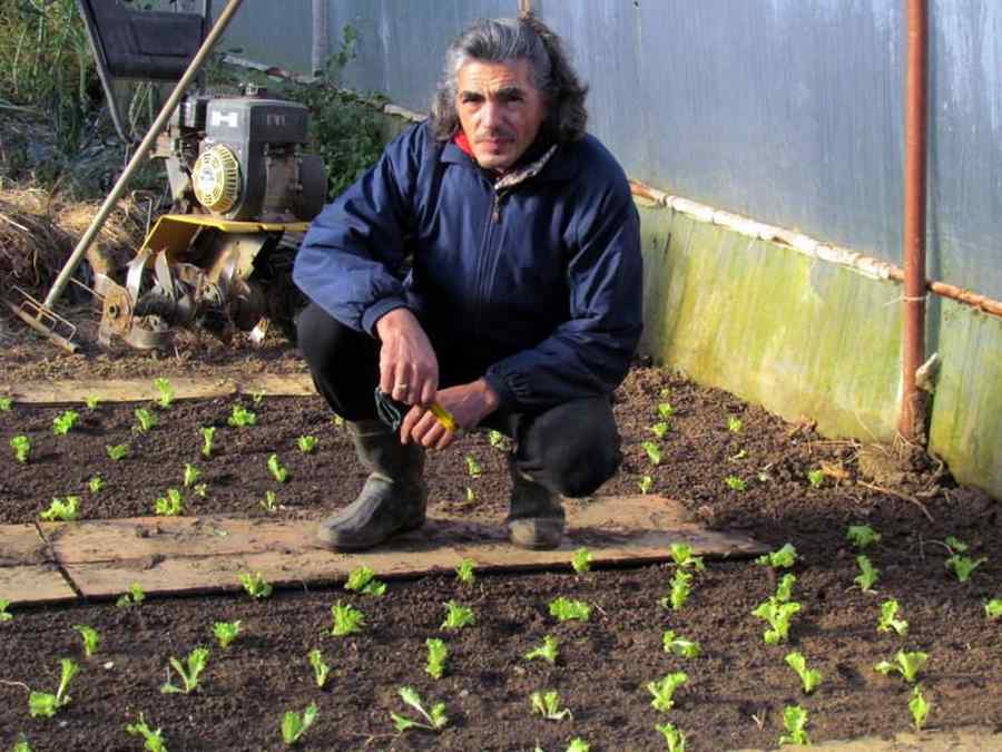 Cum fac bucureştenii mutaţi la sat afaceri de succes