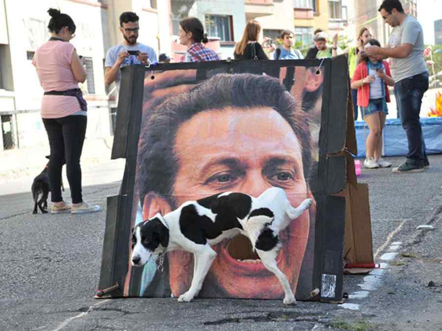 Coincidențe amuzante din fotografii cu câini