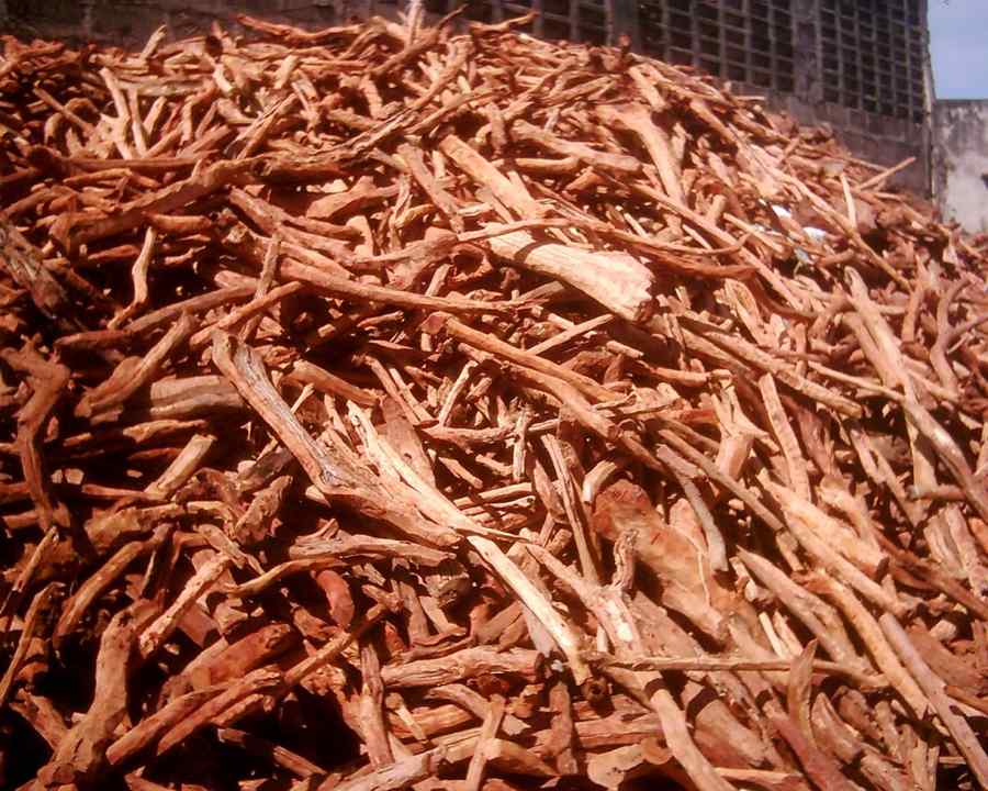 Mirosul care ajută la vindecarea rănilor