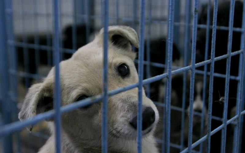 Sunt şi oameni care sfinţesc locul