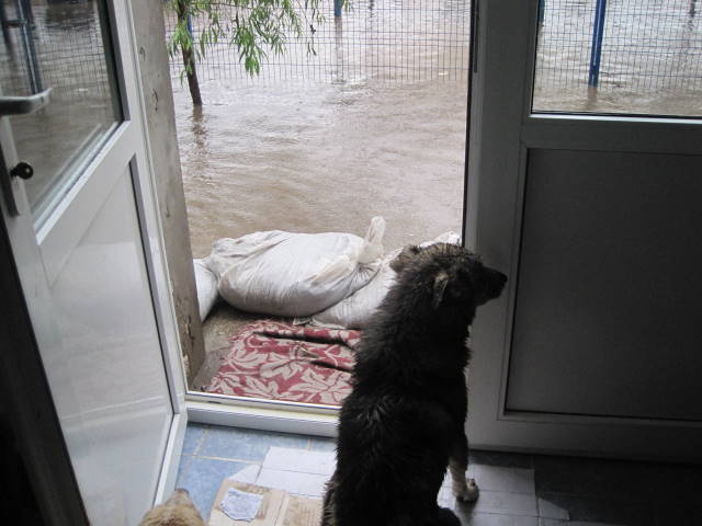 Lucrurile bine făcute nu au căutare în ţara România