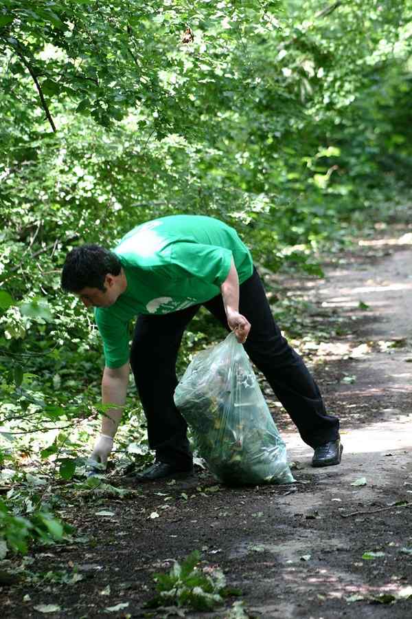 Seminţele unei plante din parcuri au efecte halucinogene