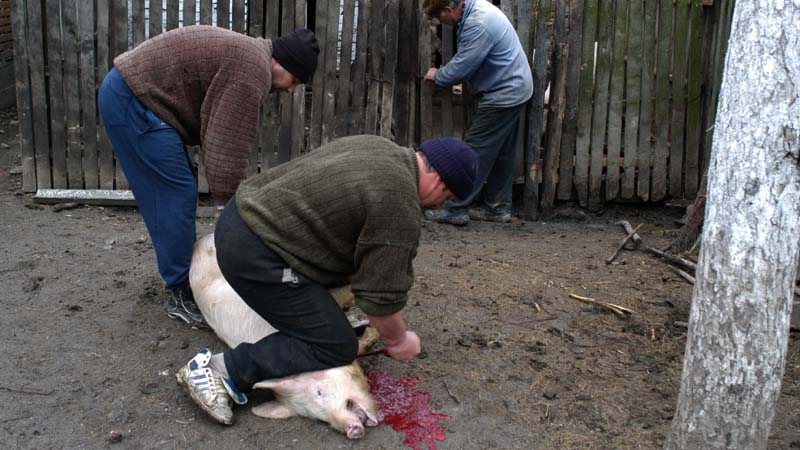 Traditia, mai presus de normele europene