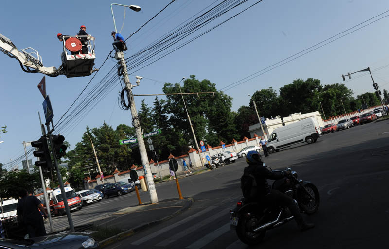 Cu tricolorul de gat