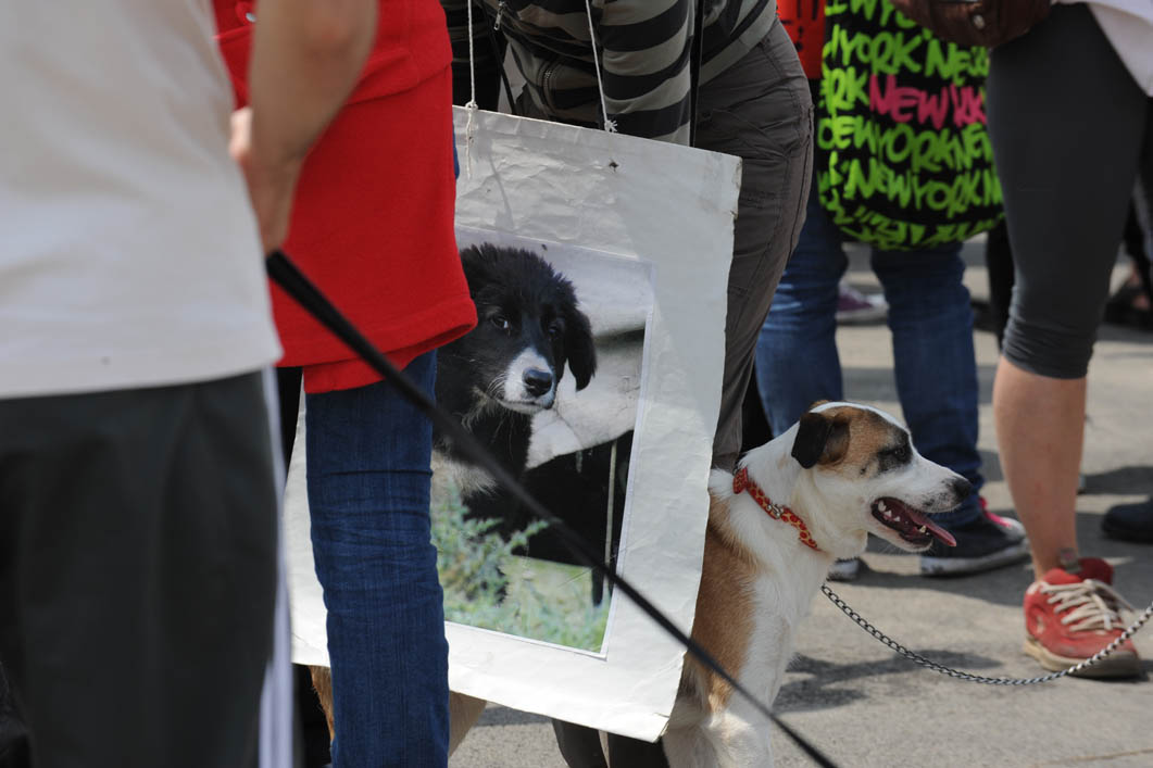Actori de primă mărime, campioni mondiali şi olimpici, medici renumiţi cer o lege fără eutanasiere