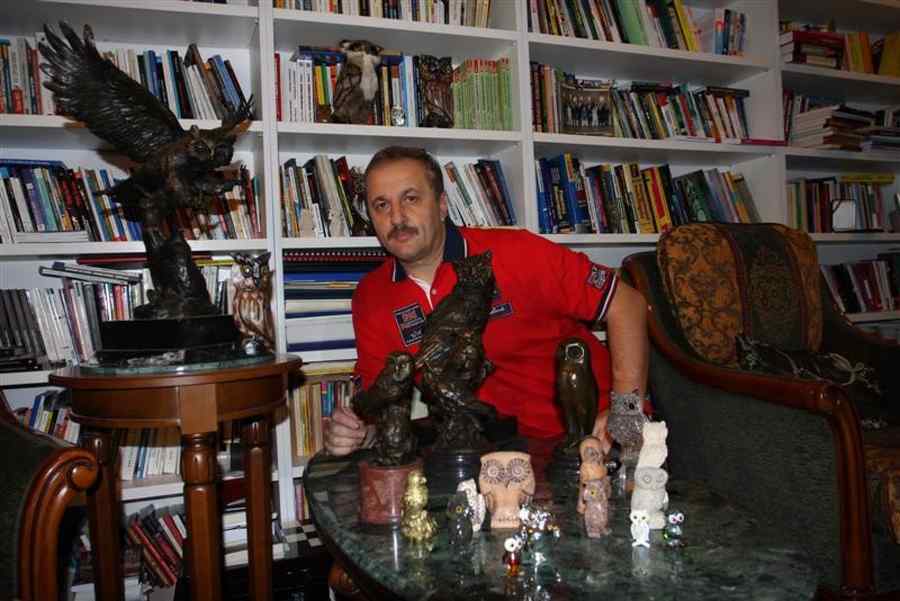 Legătura Kovesi – Dîncu, pe filiera… bufnițe