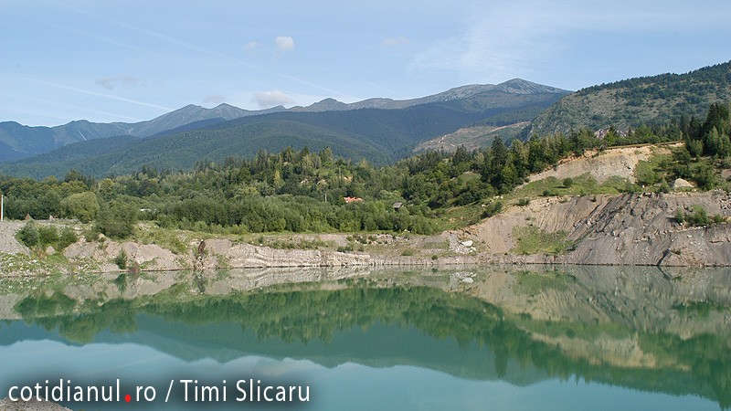 Narcisele sălbatice au înflorit la poalele Retezatului